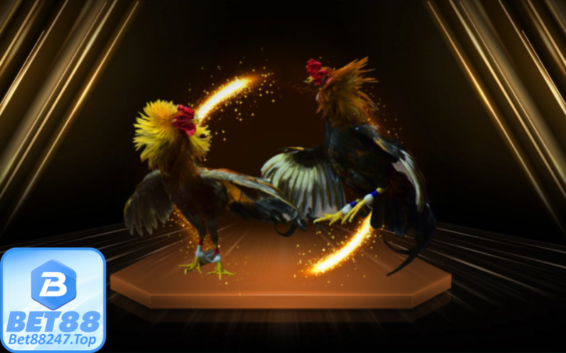 Giao diện sảnh game đấu gà trực tuyến trên Bet88